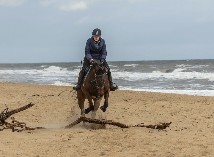 BRI FLAXSEED OIL - GIVING RESULTS FROM MANE TO HOOF!
