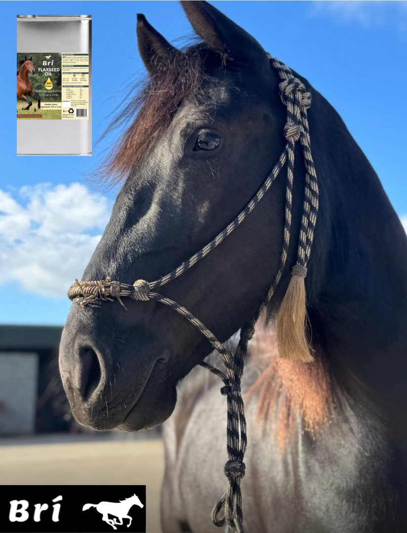 BRI FLAXSEED OIL - HORSES WELFARE -