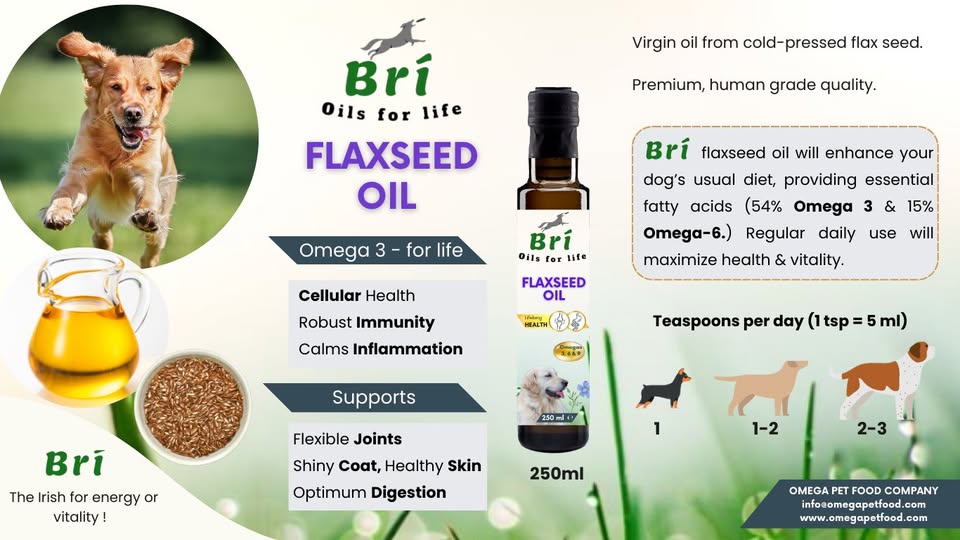 Bri - Omega Flaxseed Oil (Dogs)